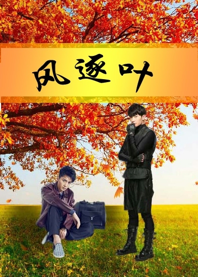 风逐叶最新章节